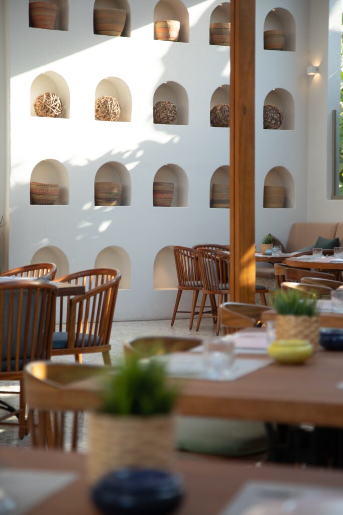 jpeg-optimizer_Jidar_Grecco_Jul24-14