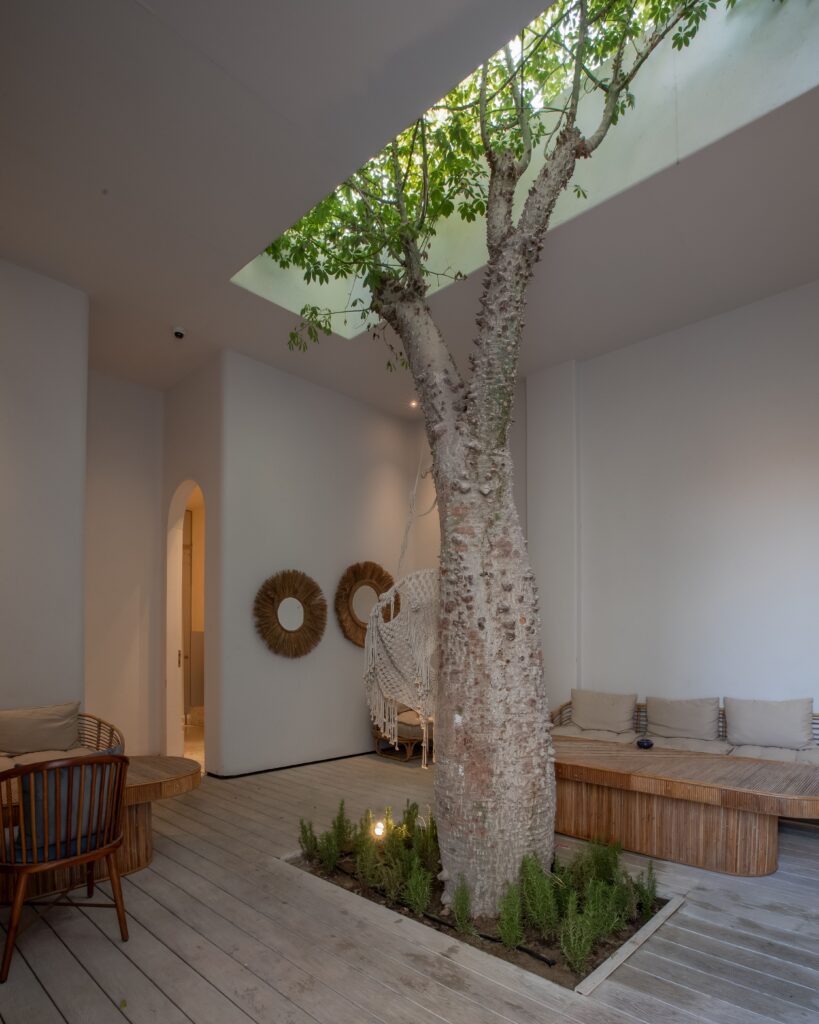 jpeg-optimizer_Jidar_Grecco_Jul24-24