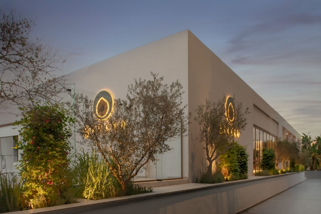 jpeg-optimizer_Jidar_Grecco_Jul24-35